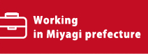 Working in Miyagi prefectureく