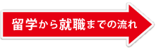 留学から就職までの流れ