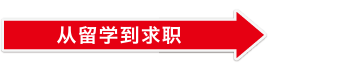 留学から就職までの流れ